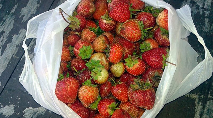 крок до зменшення пластикових пакетів в Японії