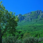 В Італії через нееффективність екстрених служб не змогли врятувати французького туриста