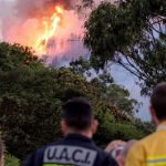 Пожежа на Гран-Канарії знищила понад 10 тисяч га лісів і лугів