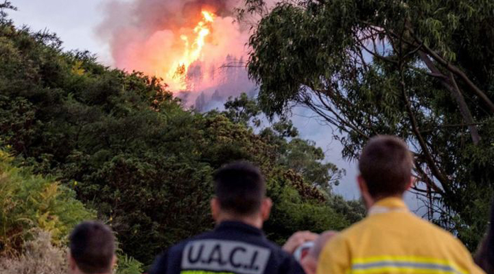 пожар на Гран-Канарии нанес большой ущерб