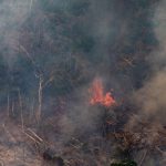 Бразилія прийме міжнародну допомогу в боротьбі з пожежами Амазонки