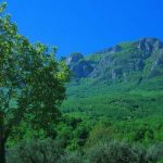 В Италии из-за неэффективностине экстренных служб не смогли спасти французского туриста