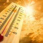 Нидерланды: Почти 3000 человек умерли в течение недели из-за жары