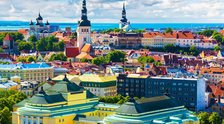 долгосрочные визы в Эстонию