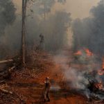 Сотни миллионов долларов, чтобы спасти Амазонку. Макрон присоединился к «донорам» Сотни миллионов долларов, чтобы спасти Амазонку. Макрон присоединился к «донорам»