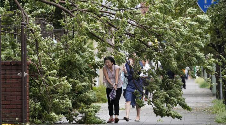 тайфун обрушился на Японию