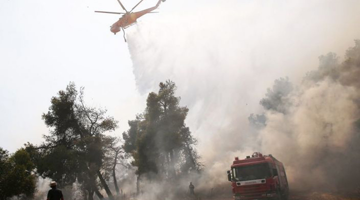 в районі Неа Макарі це вже сьомий пожежа за десять днів