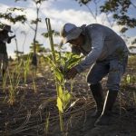 США блокируют товары из 5 стран, которые подозреваются в использовании принудительного труда