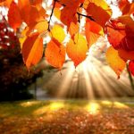 На планете становится все жарче: мировая экономика находится под угрозой На планете становится все жарче: мировая экономика находится под угрозой