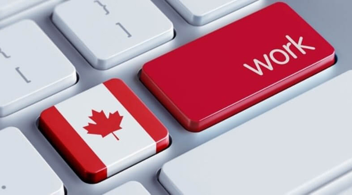 на ринку праці Канади не вистачає фахівців