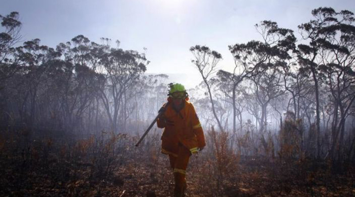 за даними поліції, деякі пожежі - результат підпалу