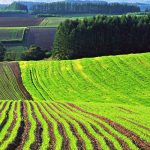 Болгария позволит покупать землю иностранцам Болгария позволит покупать землю иностранцам