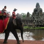 Скоро катание на слонах в Камбодже окажется под запретом