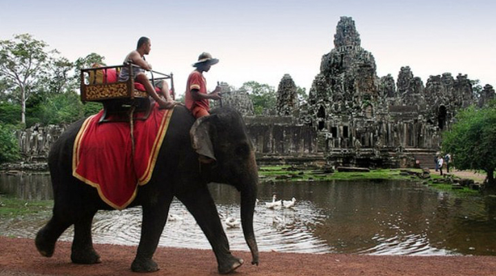 в Камбоджі заборонять кататися на слонах