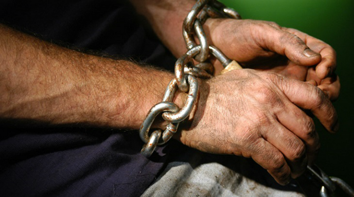 украинцы чаще других становятся жертвами торговли людьми