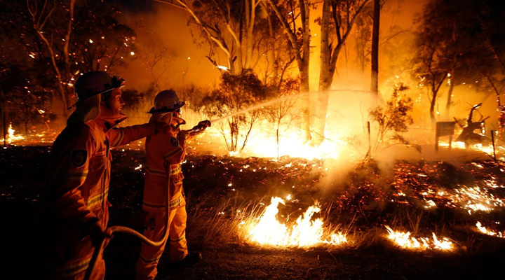 в Австралии объявили чрезвычайное положение из-за масштабных лесных пожаров
