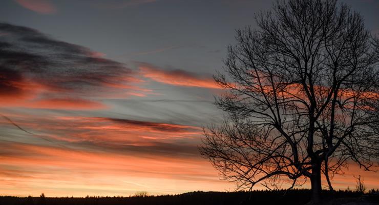 Необычная теплая погода в США