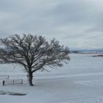 Канада мобилизует военных для устранения последствий снегопада Канада мобилизует военных для устранения последствий снегопада