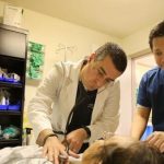 США подтвердили 5 новых случаев заражения коронавирусом США подтвердили 5 новых случаев заражения коронавирусом