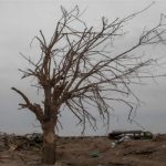 ВОЗ прогнозирует значительный рост заболеваемости раком в бедных странах ВОЗ прогнозирует значительный рост заболеваемости раком в бедных странах