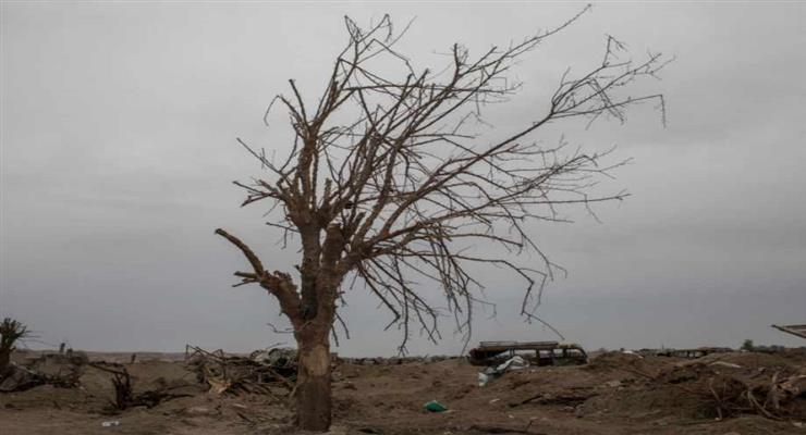 ВОЗ прогнозирует значительный рост заболеваемости раком в бедных странах