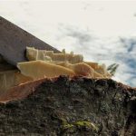 Мужчина с мачете был задержан на станции метро в Лионе