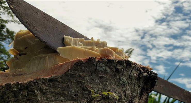 Мужчина с мачете был задержан на станции метро в Лионе