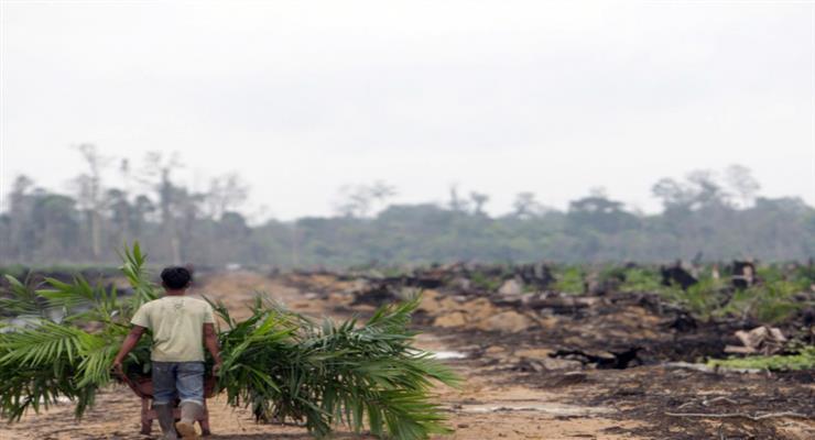Изменение климата - огромная угроза флоре и фауне планеты