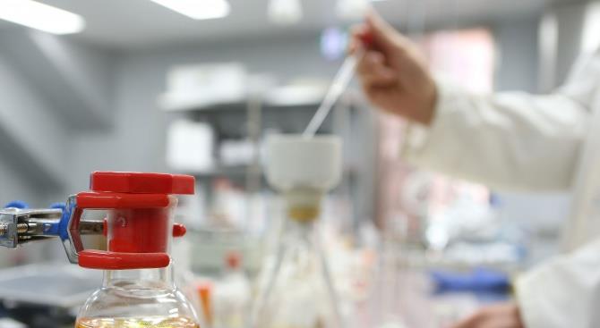 Сербия: в нашей стране нет коронавируса