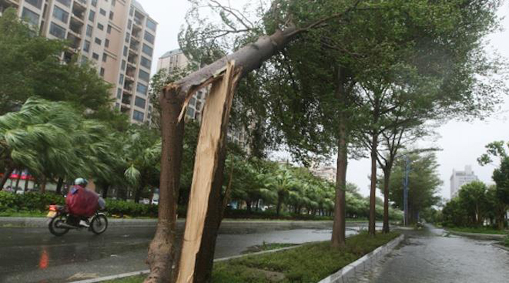 ураган прошелся по Европе