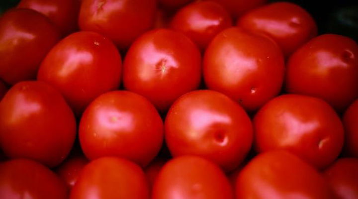 в буферній зоні застрягли сотні вантажівок, які перевозять 5000 тонн помідорів