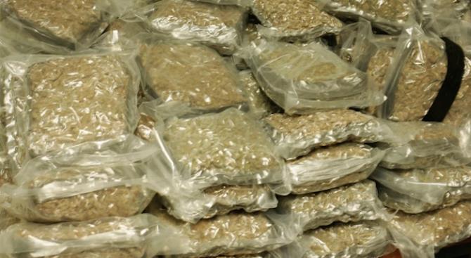Сербская полиция изъяла 750 кг марихуаны на границе с Румынией