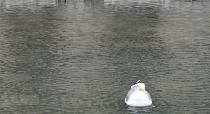 Река Сена затопила набережные возле Лувра и музея "Орсе"