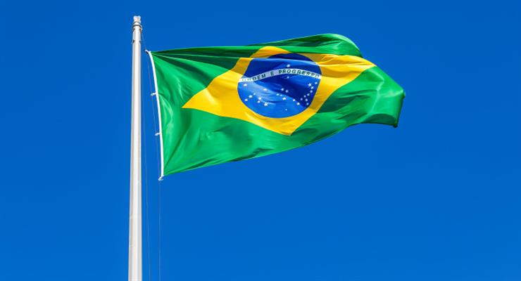 Бразильский депутат предложил наказывать коррумпированных политиков ампутацией обеих рук