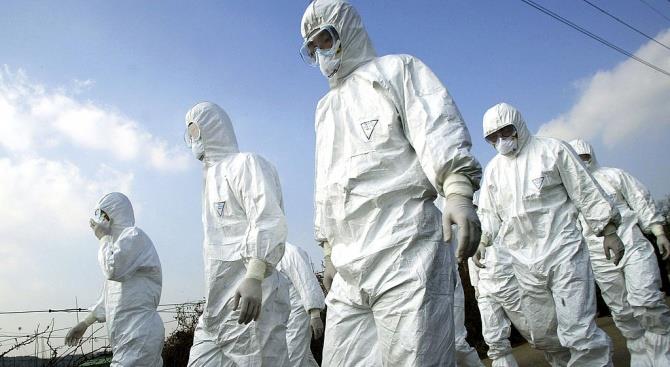 Дания - вторая европейская страна на полном карантине