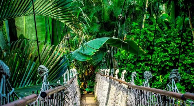 Эксперты прогнозируют исчезновение крупных экосистем