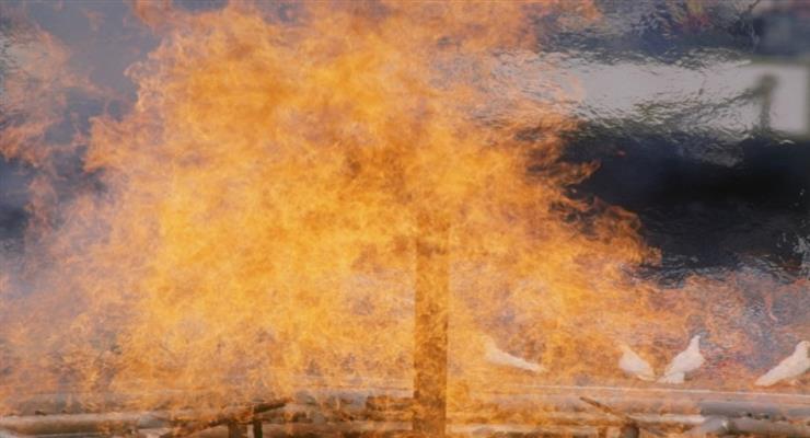 Эстафета олимпийского огня в Греции остановлена ​​из-за коронавируса