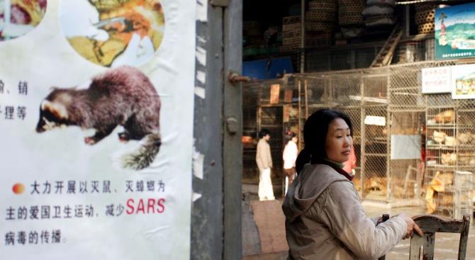 Ученые: "Новый коронавирус имеет естественное происхождение, а не был искусственно разработан в лаборатории"