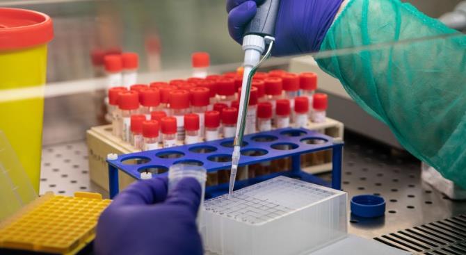 Российские ученые прочитали геном COVID-19