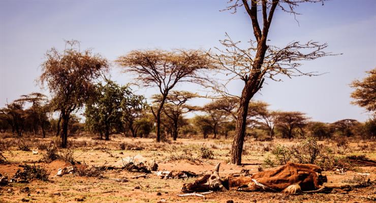 в Африке в этом году ожидается сокращение примерно 20 млн. рабочих мест