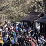 Нарушители социальной дистанции во Франкфурте напали на полицию