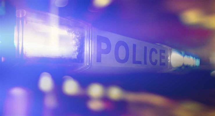 головний секретар МВС Словенії Франц Брезник подав у відставку