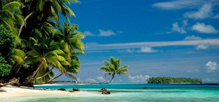 в 15 странах не зафиксированы случаи коронавируса