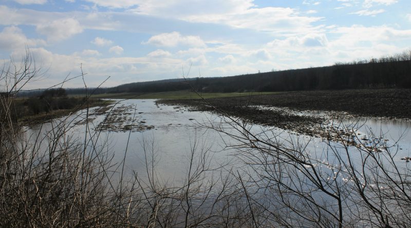 підвищення рівня води в річках Арда і Маріца