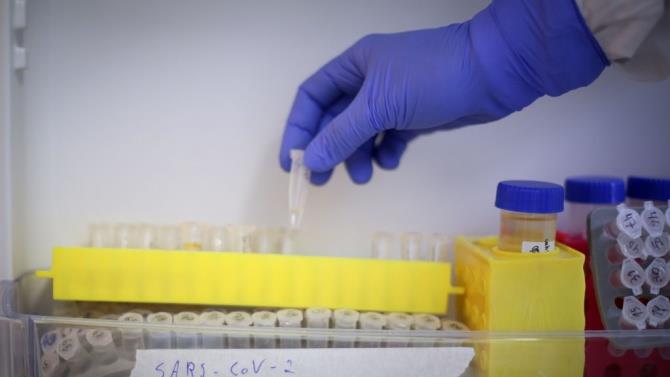 новий тест по слині