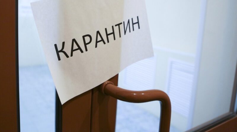 малый и средний бизнес против карантина