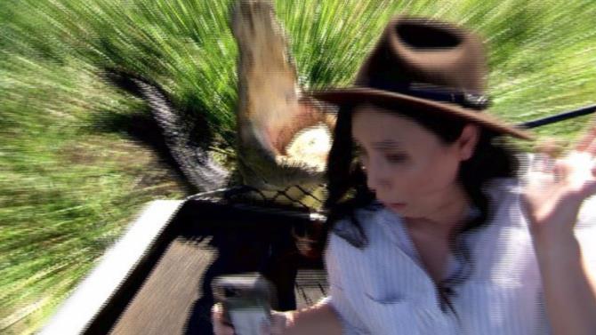 крокодил мало не вкусив репортера