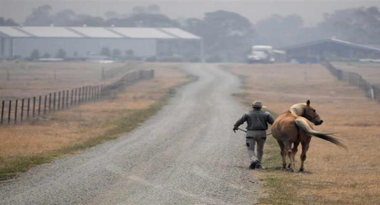 закриють кордони між штатами Вікторія і Новий Південний Уельс