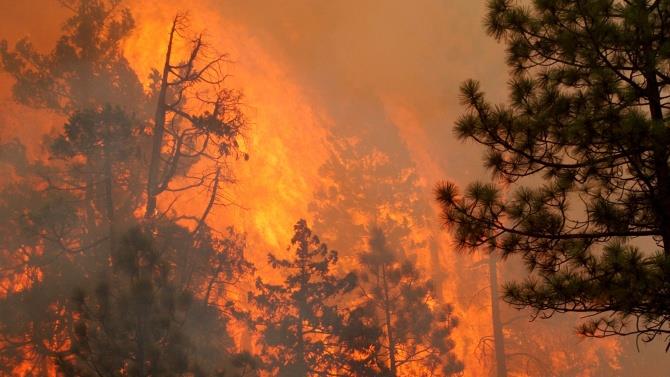 чотири людини загинули і дев'ять були госпіталізовані в результаті пожежі