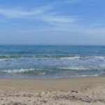 Российский эксперт: море безопасно, соленая вода и солнце уничтожают коронавирус Российский эксперт: море безопасно, соленая вода и солнце уничтожают коронавирус